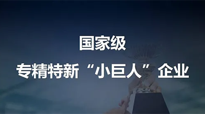 荣获第四批国家级“专精特新”小巨人称号！